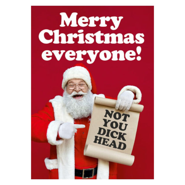 Christmas Greeting Card - Not you Dick Head - Funky Gifts NZ