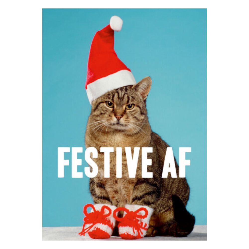 Christmas Greeting Card - Festive AF Christmas Cat - Funky Gifts NZ