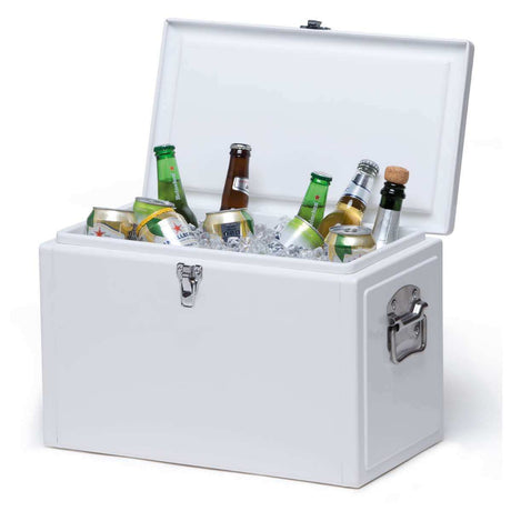 Detroit 20L Cooler Box - Funky Gifts NZ