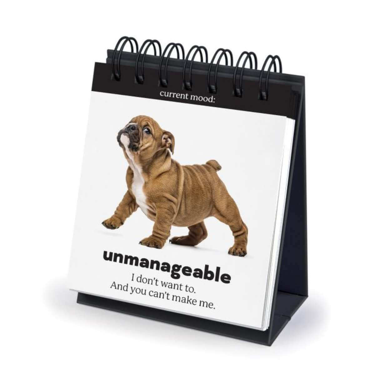 Daily Doggo Desktop Flipbook - Funky Gifts NZ