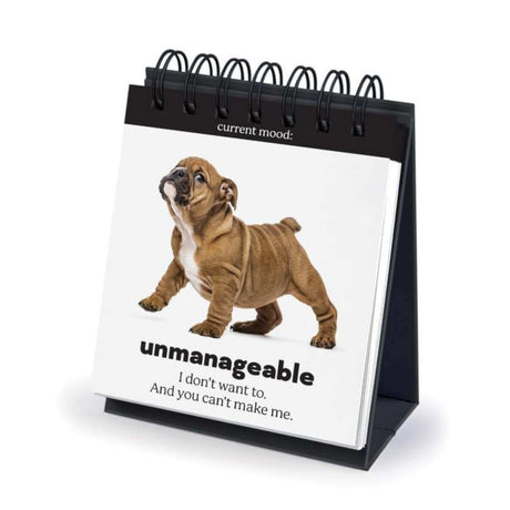 Daily Doggo Desktop Flipbook - Funky Gifts NZ