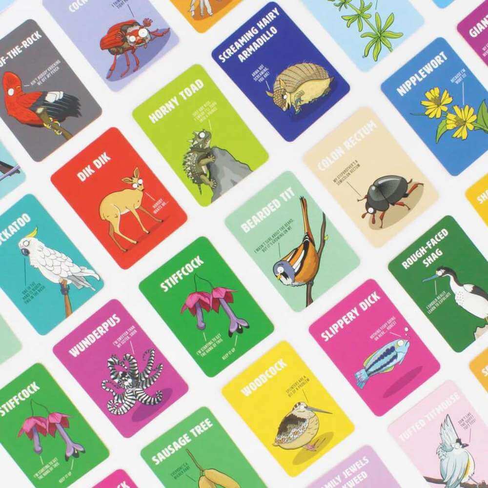 Don't Be A Dik Dik Card Game - Funky Gifts NZ