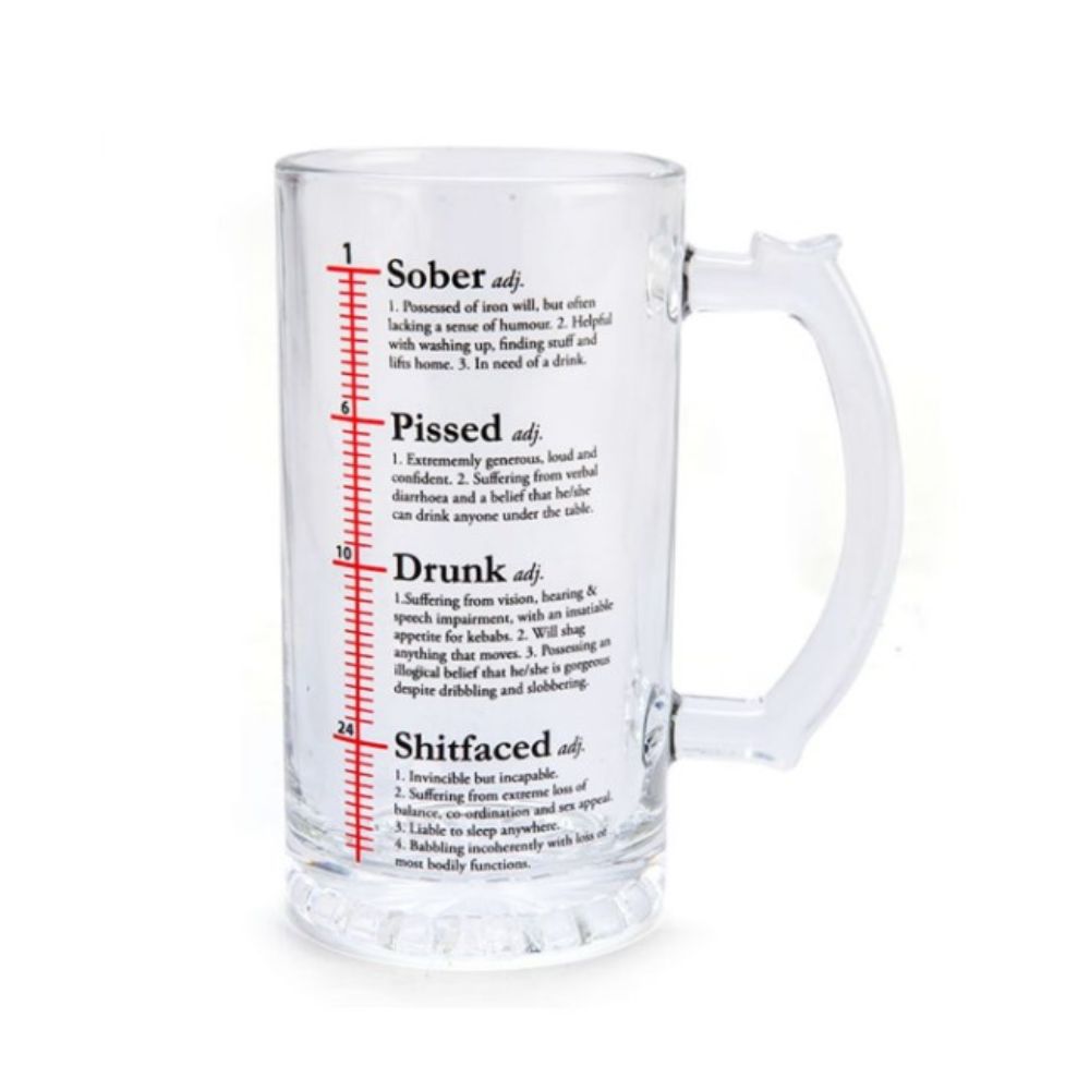 Drinktionary Stein Glass - Funky Gifts NZ