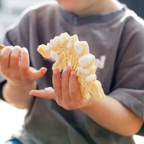 Dinosaur Fossil Cookie & Craft Kit - Funky Gifts NZ