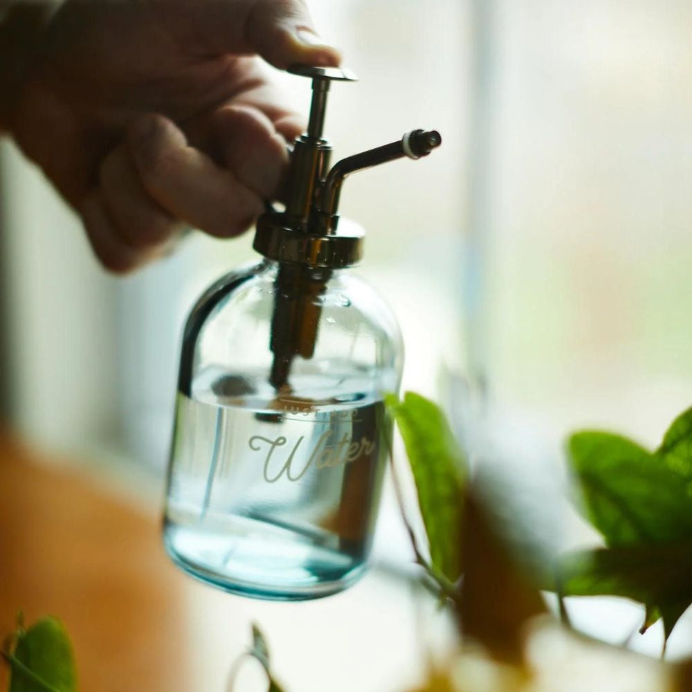 Gentlemen's Hardware - Glass Plant Mister - Funky Gifts NZ