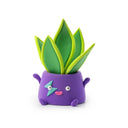 Hey_Clay___Plant_Folks_Bloom_Zoom.jpg