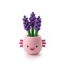 Hey_Clay___Plant_Folks_Lala.jpg