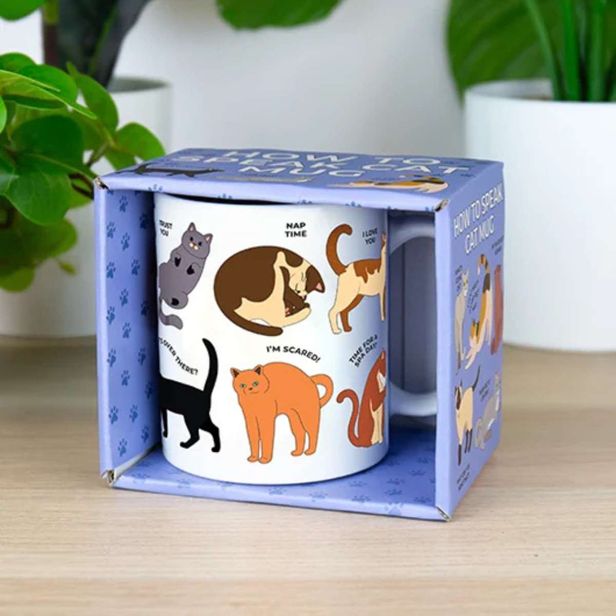 How to Speak Cat Mug - Funky Gifts NZ