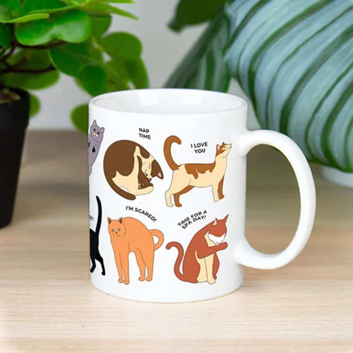 How to Speak Cat Mug - Funky Gifts NZ