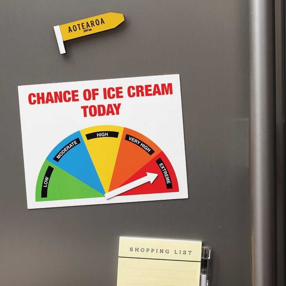 Ice Cream Meter Large Magnet - Funky Gifts NZ