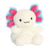 Palm Pals - Jax Bluegill Axolotl - Funky Gifts NZ