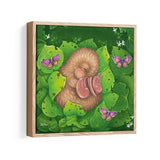 Kawakawa Kiwi - Box Canvas Framed Print - Funky Gifts NZ