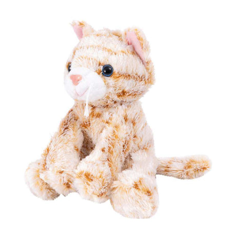 Catsy Kitty Ginger Cat - Funky Gifts NZ