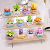 Koco_Bricks___Bloom_Boutique___Succulent_Potted_Plants.jpg