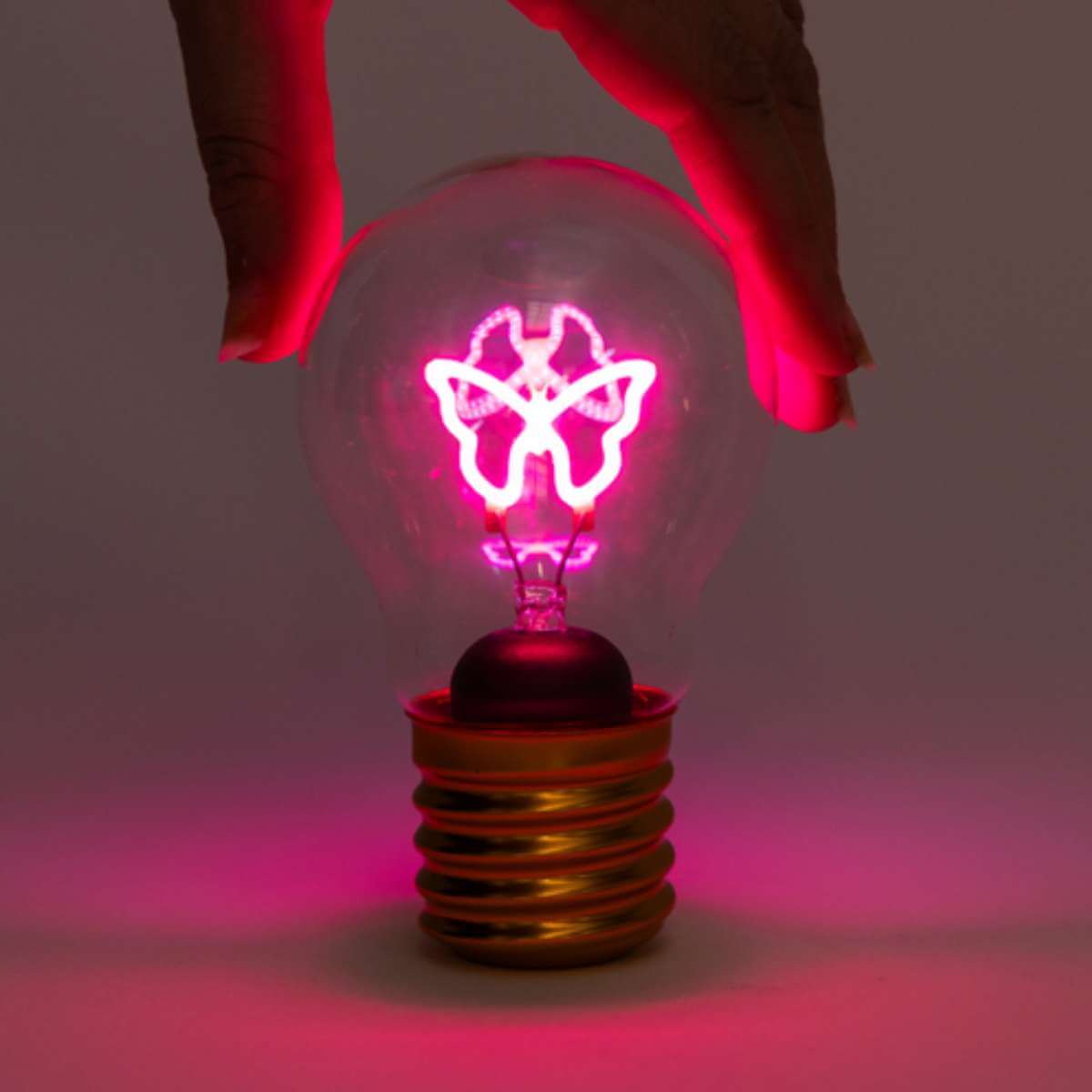 Lightbulb_Lamp_BUtterfly__1_.jpg