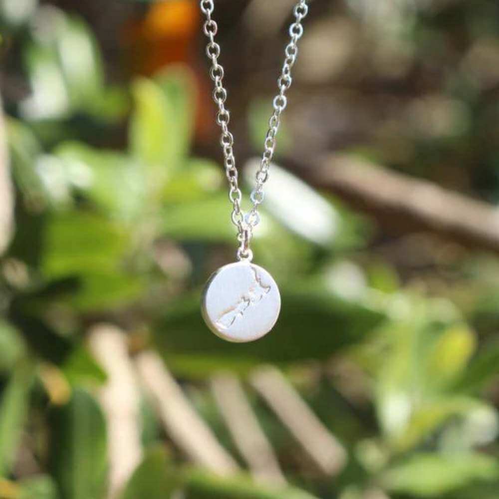 Little Taonga Round NZ Map Necklace – Funky Gifts NZ