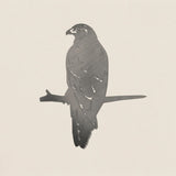 Metalbird Kahu - Funky Gifts NZ