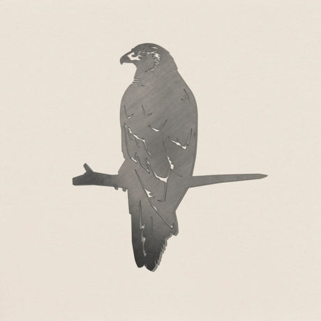 Metalbird Kahu - Funky Gifts NZ
