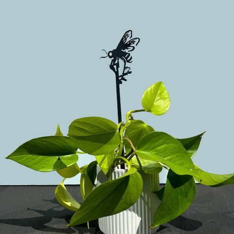 Metalbird Honey Bee Plant Stake 70cm - Funky Gifts NZ