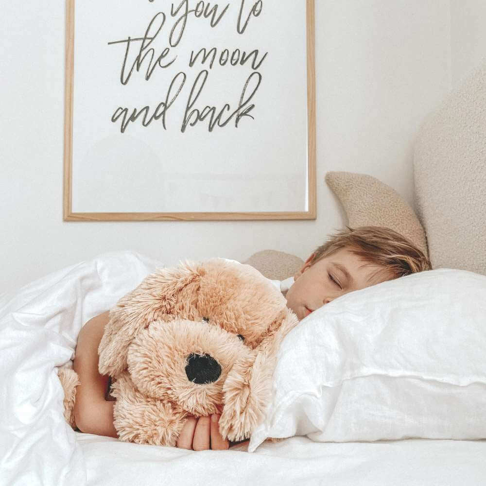 Charlie the Weighted Puppy - Funky Gifts NZ