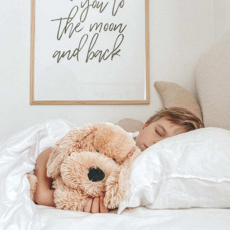 Charlie the Weighted Puppy - Funky Gifts NZ