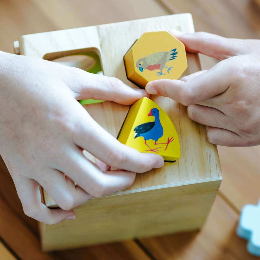 NZ Birds Shape Sorter - Funky Gifts NZ