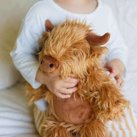 Hamish The Highland Cow - Funky Gifts NZ