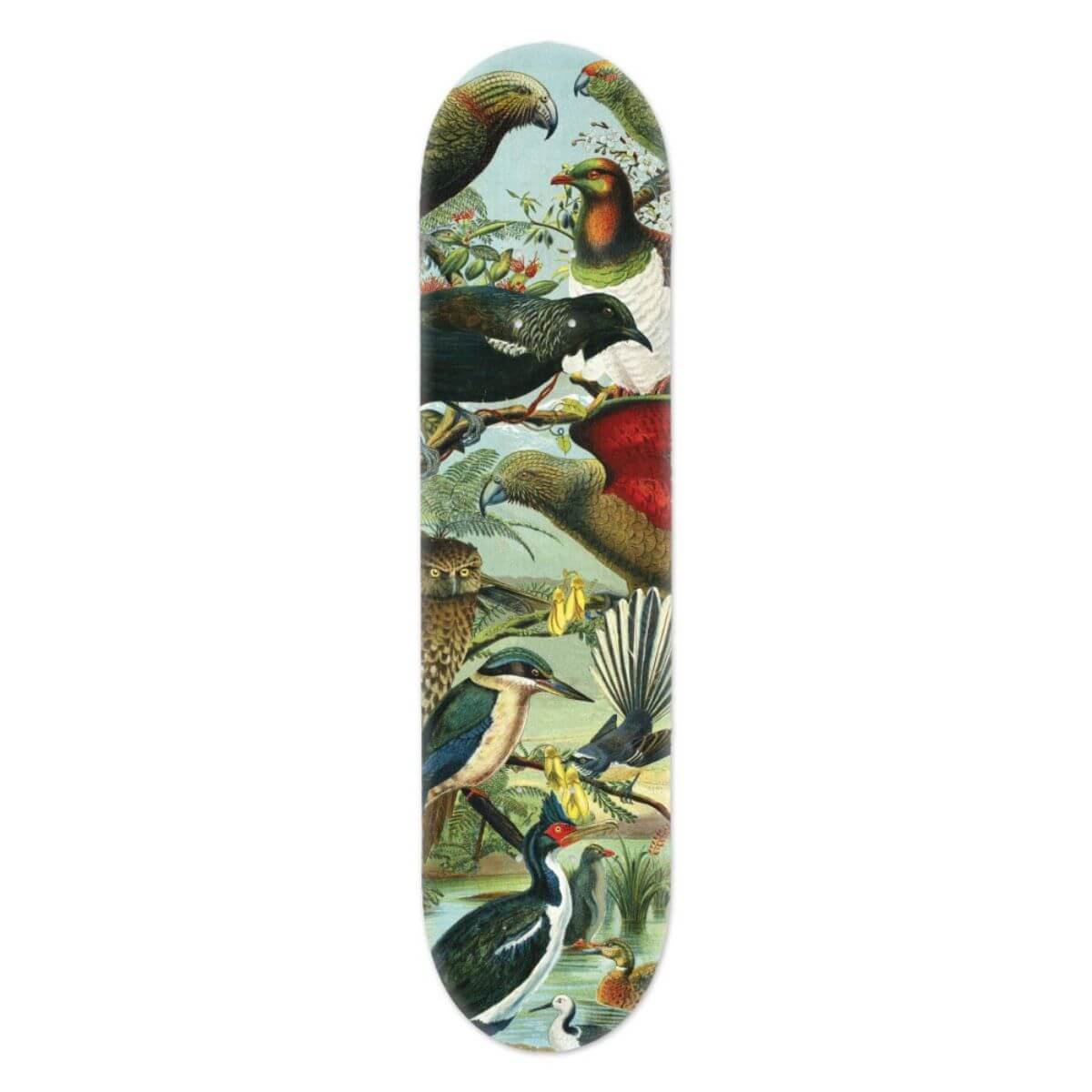 NZ_Native_Birds_Skateboard_Deck.jpg