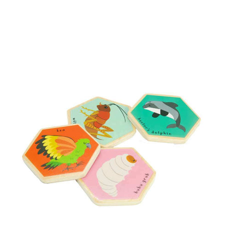 Moana Rd NZ Wildlife Memory Game - Funky Gifts NZ