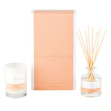 Palm Beach Collection Mini Candle & Diffuser Gift Pack - Watermelon - Funky Gifts NZ