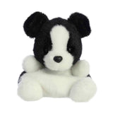 Palm Pals - Brody Collie - Funky Gifts NZ