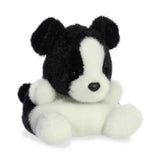 Palm Pals - Brody Collie - Funky Gifts NZ