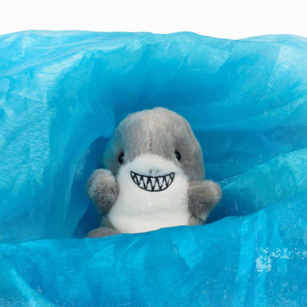 Palm Pals - Chomps Shark - Funky Gifts NZ