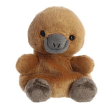 Palm Pals - Patty Platypus - Funky Gifts NZ