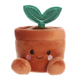 Palm Pals - Terra Potted Plant - Funky Gifts NZ