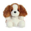 Palm Pals - Lady Spaniel - Funky Gifts NZ