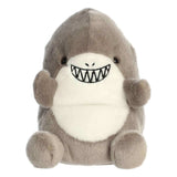 Palm Pals - Chomps Shark Large - Funky Gifts NZ