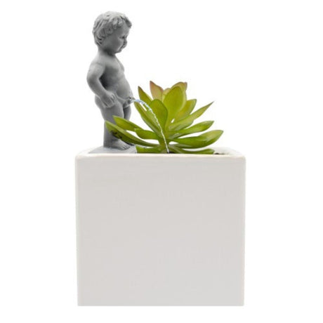 Pee My Plants Waterer - Funky Gifts NZ