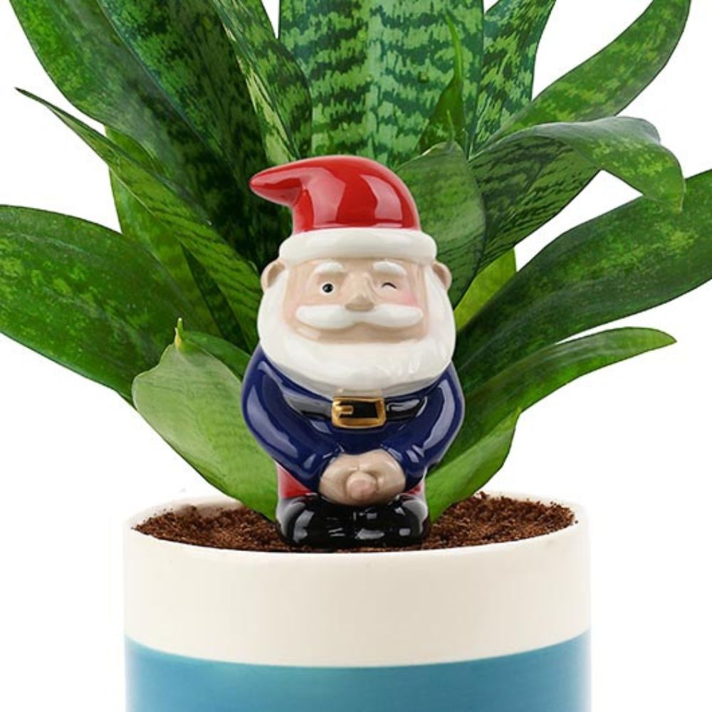 Peeing Gnome - Self Watering Planter - Funky Gifts NZ