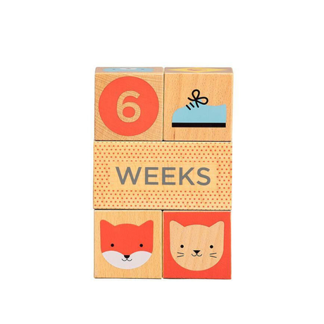 Wooden Milestone Baby Blocks - Funky Gifts NZ