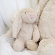 Plush Small Light Beige Bunny - Funky Gifts NZ