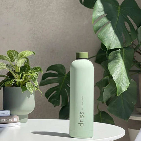 Driss Insulated Stainless Steel Water Bottle Sage + Olive - Funky Gifts NZ