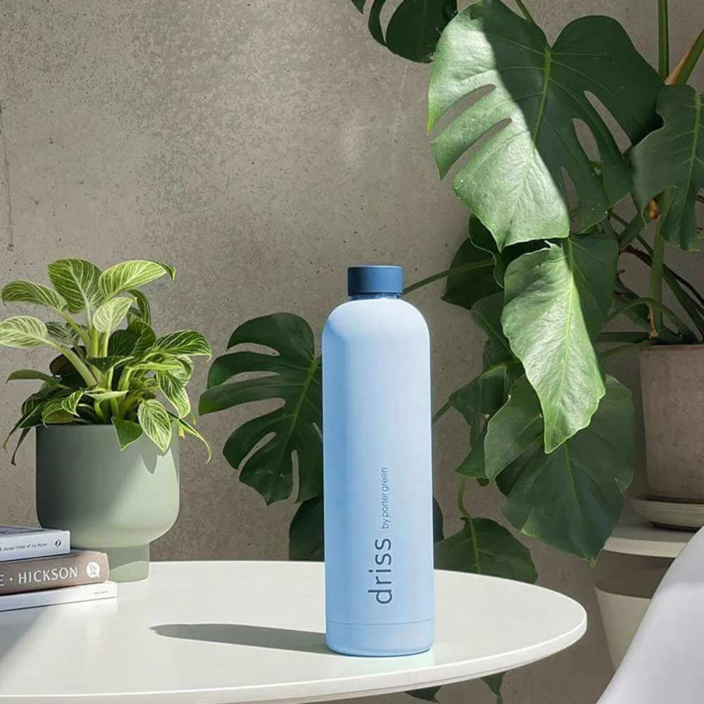 Driss Insulated Stainless Steel Water Bottle Sky + Kingfisher - Funky Gifts NZ