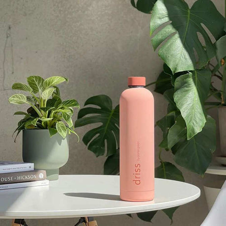 Driss Insulated Stainless Steel Water Bottle Terra + Peach - Funky Gifts NZ