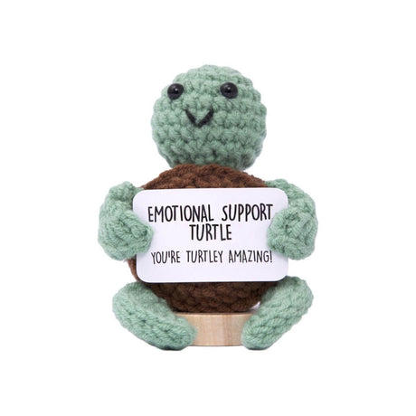 Positive_Pals_Turtle.jpg