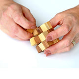 Ecological Brainteasers 6 Pack - Funky Gifts NZ