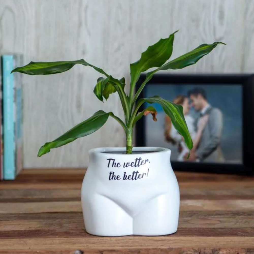 Put Some Plants On Planter - The Wetter, The Better - Funky Gifts NZ
