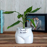 Put Some Plants On Planter - The Wetter, The Better - Funky Gifts NZ