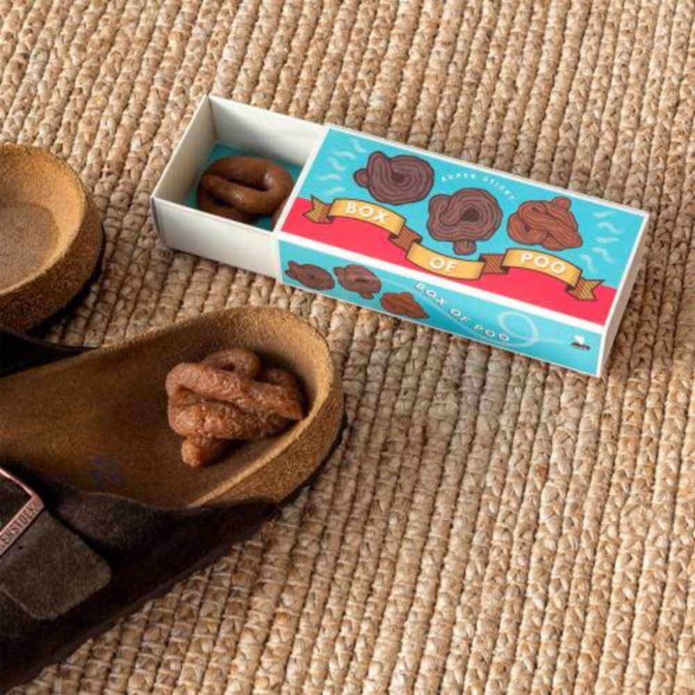 Box Of Sticky Poo - Funky Gifts NZ