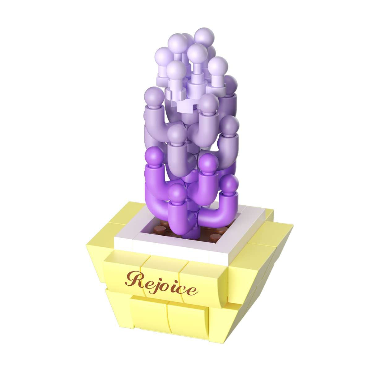 Sedum_rubrotinctum.jpg